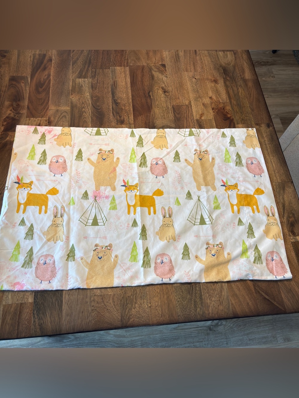 Pillowfort Woodland whimsy collection pillow case Standard Sz Like New